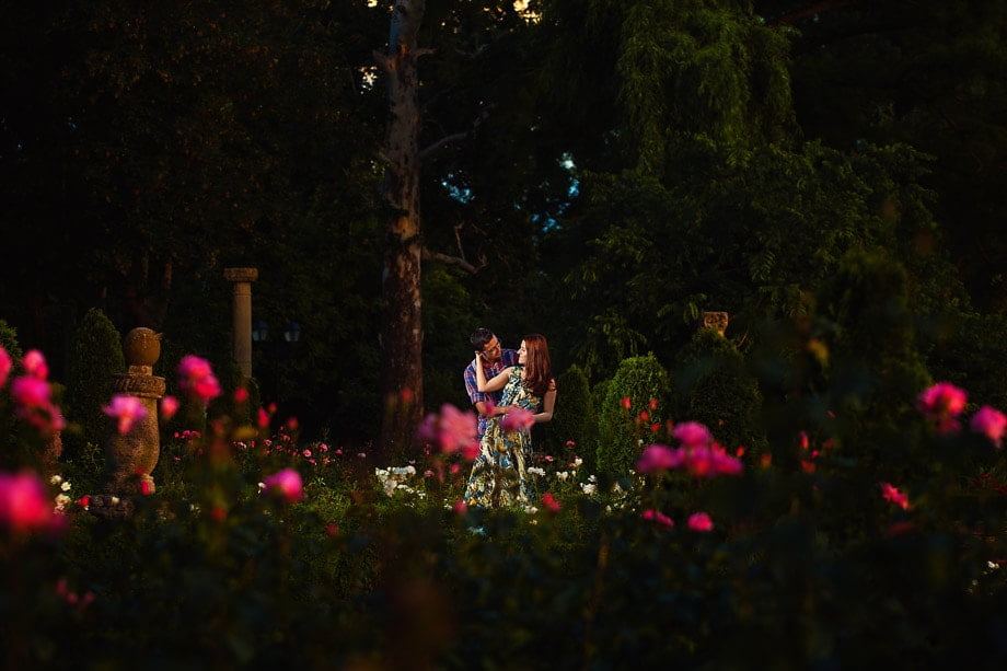 fotografii logodna Mogosoaia, foto nunta, gradina trandafiri